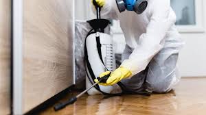 Best Emergency Pest Control  in Sells, AZ